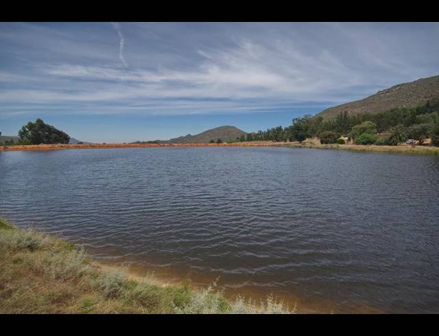 FARM FOR SALE IN PIKETBERG RURAL